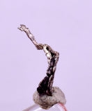 0.9cms NATIVE SILVER WIRE PERU UCHUCCHACUA MINE MINERAL SPECIMEN HB363