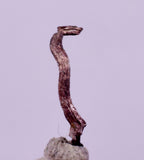 0.9cms NATIVE SILVER WIRE PERU UCHUCCHACUA MINE MINERAL SPECIMEN HB364