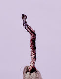 0.9cms NATIVE SILVER WIRE PERU UCHUCCHACUA MINE MINERAL SPECIMEN HB365