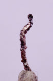 0.9cms NATIVE SILVER WIRE PERU UCHUCCHACUA MINE MINERAL SPECIMEN HB365