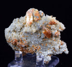 5.7cms selenite limonite crystals collector peru mineral specimen a88