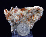 7cms selenite limonite crystals collector peru mineral specimen a89