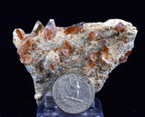 7cms selenite limonite crystals collector peru mineral specimen a89