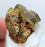 2.5cm Golden BARITE CRYSTALS peru translucent mineral specimen F38
