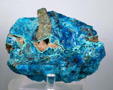 9cm GEM BLUE MALACHITE rough banded shiny new find peru prehistoric fish like mineral specimen a122