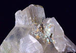 8cms CHRYSOCOLLA IN SELENITE  lily mine peru gypsum premium mineral specimen a209