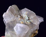8cms CHRYSOCOLLA IN SELENITE  lily mine peru gypsum premium mineral specimen a209