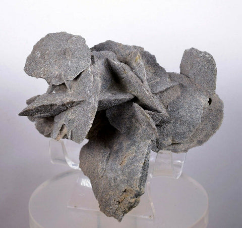 9cms SELENITE DESERT ROSE gypsum crystals collectors peru mineral specimen t260