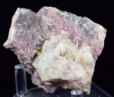 6.6cms RHODONITE QUARTZ CRYSTALS Sample Mineral Specimen Peru Collector A287