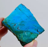 905 carats GEM SILICA OPALIZED Chrysocolla Caribean Blue Hardness 7 High Yield Turquoise Color Peru o417