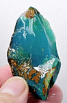 163.5carats GEM SILICA CHRYSOCOLLA chalcedony emerald jade color lily mine s64