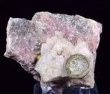 6.6cms RHODONITE QUARTZ CRYSTALS Sample Mineral Specimen Peru Collector A287
