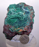10cms MALACHITE STALACTITE GEODE Botryoidal Grape Gem  Mineral Sample  A427