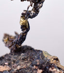 5cms NATIVE SILVER WIRE Rhodochrosite Acanthite Proustite Crystals Mineral Specimen A420
