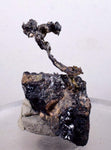 5cms NATIVE SILVER WIRE Rhodochrosite Acanthite Proustite Crystals Mineral Specimen A420