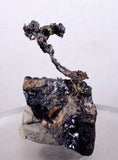 5cms NATIVE SILVER WIRE Rhodochrosite Acanthite Proustite Crystals Mineral Specimen A420