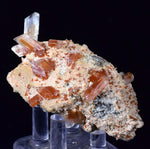 6.6cms SELENITE LIMONITE CRYSTAL collector peru mineral specimen t263