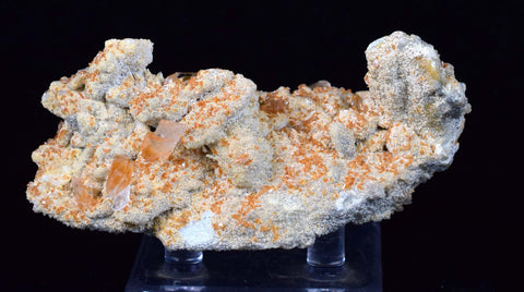 8.3cms SELENITE LIMONITE CRYSTAL collector peru mineral specimen t265