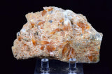 9.6cms SELENITE LIMONITE CRYSTAL collector peru mineral specimen t267