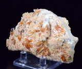 9.6cms SELENITE LIMONITE CRYSTAL collector peru mineral specimen t267