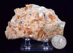 9.6cms SELENITE LIMONITE CRYSTAL collector peru mineral specimen t267