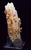 11.4cms SELENITE LIMONITE CRYSTAL collector peru mineral specimen t268
