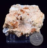 6.9cms SELENITE LIMONITE CRYSTAL twin collector peru mineral specimen t269