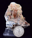 6.4cms SELENITE LIMONITE CRYSTAL collector peru mineral specimen t270