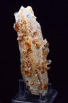 11.4cms SELENITE LIMONITE CRYSTAL collector peru mineral specimen t268