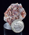 3.3cms RHODOCHROSITE CRYSTAL PERU Matrix Mineral Specimen Old Stock RE947