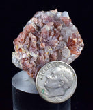3.3cms RHODOCHROSITE CRYSTAL PERU Matrix Mineral Specimen Old Stock RE947