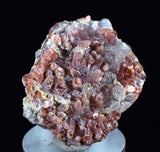 3.3cms RHODOCHROSITE CRYSTAL PERU Matrix Mineral Specimen Old Stock RE947