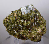 6.2cms EPIDOTE CRYSTALS CLUSTER collector peru green color mineral specimen c775