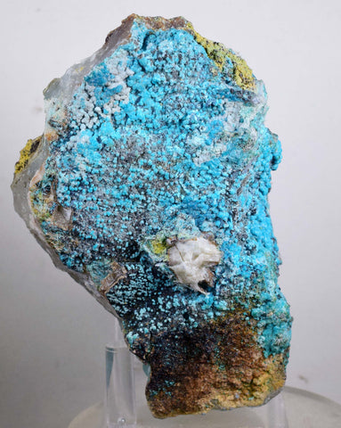 12cms  QUARTZ CHRYSOCOLLA TENTADORA Mine Peru Grape Botryoidal Stalactite Crystals Rare Ajoite (?)Mineral Specimen Collectors ce787