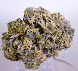 8cms EPIDOTE QUARTZ CRYSTALS Peru Cluster Collector Green Color Mineral Specimen CE791