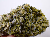 8cms EPIDOTE QUARTZ CRYSTALS Peru Cluster Collector Green Color Mineral Specimen CE791