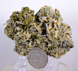 8cms EPIDOTE QUARTZ CRYSTALS Peru Cluster Collector Green Color Mineral Specimen CE791