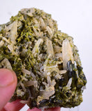 6.5cms EPIDOTE QUARTZ CRYSTALS Peru Cluster Collector Green Color Mineral Specimen CE792