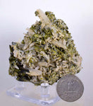 6.5cms EPIDOTE QUARTZ CRYSTALS Peru Cluster Collector Green Color Mineral Specimen CE792
