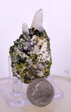 4.9cms EPIDOTE QUARTZ CRYSTALS Peru Cluster Collector Green Color Mineral Specimen CE796