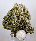 8.2cms EPIDOTE QUARTZ CRYSTALS Peru Cluster Collector Green Yellow Color Mineral Specimen CE809