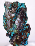 5.8cms  QUARTZ CHRYSOCOLLA TENTADORA Mine Peru Grape Botryoidal Stalactite Crystals Rare Ajoite (?)Mineral Specimen Collectors ce817