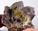 5cms AXINITE EPIDOTE CRYSTALS cluster peru mineral specimen collectors AE385