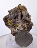 5cms AXINITE EPIDOTE CRYSTALS cluster peru mineral specimen collectors AE385