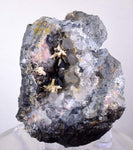 6.5cmACANTHITE RUBY SILVER Rhodochrosite Native Silver Wires Mangano Calcite Pyrargyrite Galena Mineral Peru HE174