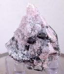 3.4cm PROUSTITE RUBY SILVER Red Crystals Rhodochrosite Mangano Calcite Pyrargyrite Galena Mineral Peru HE175