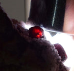 3.4cm PROUSTITE RUBY SILVER Red Crystals Rhodochrosite Mangano Calcite Pyrargyrite Galena Mineral Peru HE175