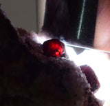 3.4cm PROUSTITE RUBY SILVER Red Crystals Rhodochrosite Mangano Calcite Pyrargyrite Galena Mineral Peru HE175