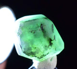 8cts EMERALD CRYSTALS COLOMBIA  polished musso beryl mineral specimen pendant e88