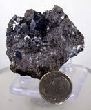 4.3cm ALABANDITE CRYSTALS CALCITE  Peru Gem Sharp Bright Uchuchaccua Mineral Specimen HE177